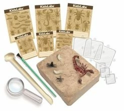 4Μ κατασκευές Επιτραπέζιο 4Μ Ζωύφια Του Πλανήτη Μας (4M0573) -Επιτραπέζια παιχνίδια & κάρτες Εκπτώσεις 208517 3