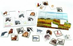 AS το καλό παιχνίδι Επιτραπέζιο Sap Εξυπνούλης Μπινγκο Με Ζωάκια (1024-63213)