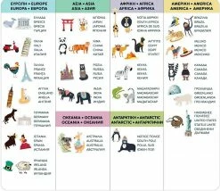 AS το καλό παιχνίδι Magnet Box-Μαγνητικός Παγκόσμιος Χάρτης (1029-64049) -Επιτραπέζια παιχνίδια & κάρτες Εκπτώσεις 691827 2